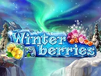 เกมสล็อต Winterberries